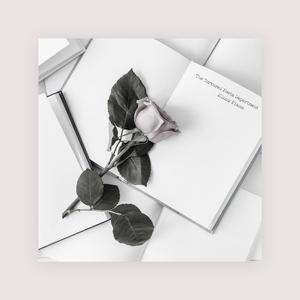 香蕉视频无限看
